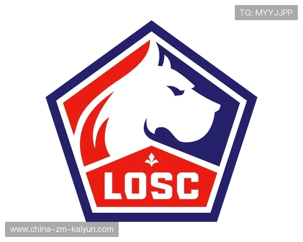 法甲官方宣布新宣传战略,提升联赛国际影响力,法甲前瞻2020-2021 法甲官方宣布新宣传战略,提升联赛国际影响力,法甲前瞻2020-2021